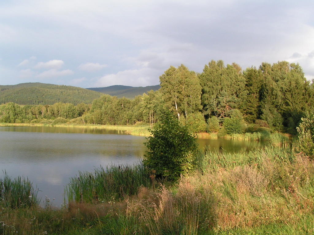 Penzion Mansky Dvur Dolni Zandov エクステリア 写真